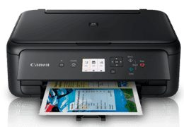 Canon ip110 owners manual