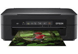 Epson XP-255 printer manual [Free Download / PDF]